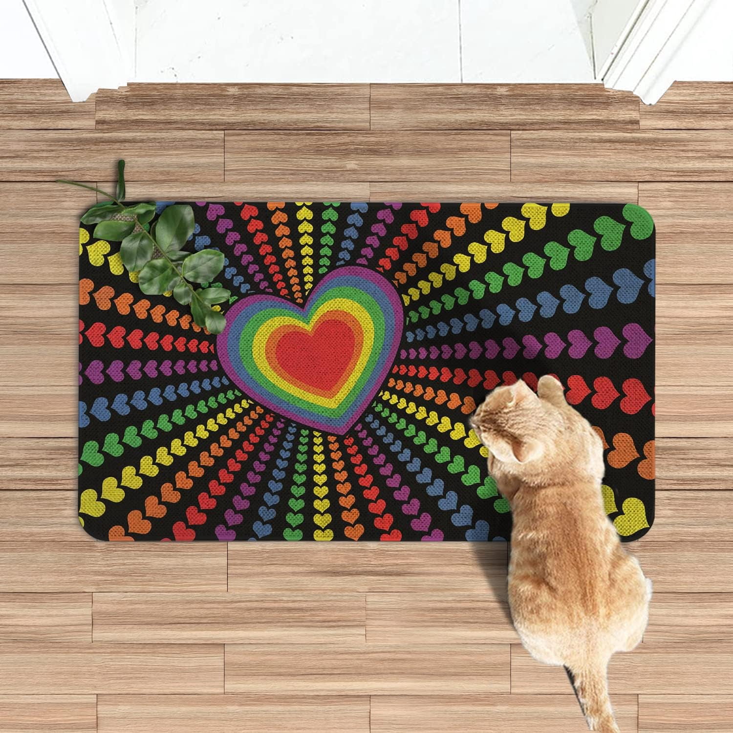 Pride Rainbow Door Mat 30 X 17 Inch LGBT Doormat Indoor Outdoor Entrance Floor Mat Non Slip LGBTQ Home Decor Rubber Welcome Mats