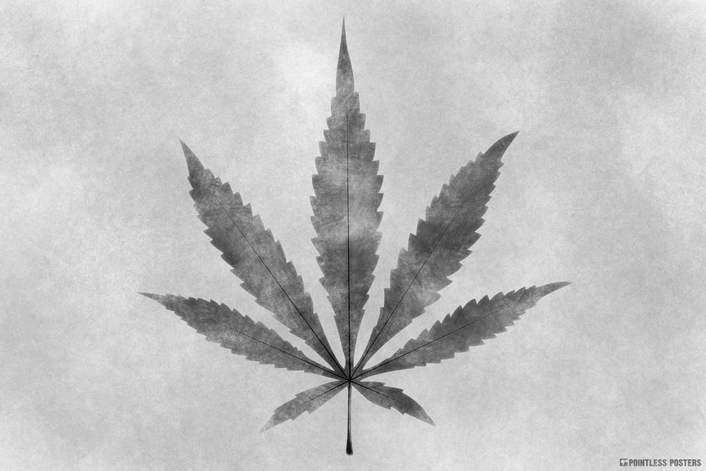 Marijuana Charcoal Sketch Weed Art Poster By Pointless Posters Walmart Com Walmart Com
