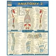 thumbnail image 2 of Anatomy 2 - Reference Guide (8.5 x 11) : a QuickStudy Laminated Reference Guide (Other), 2 of 2