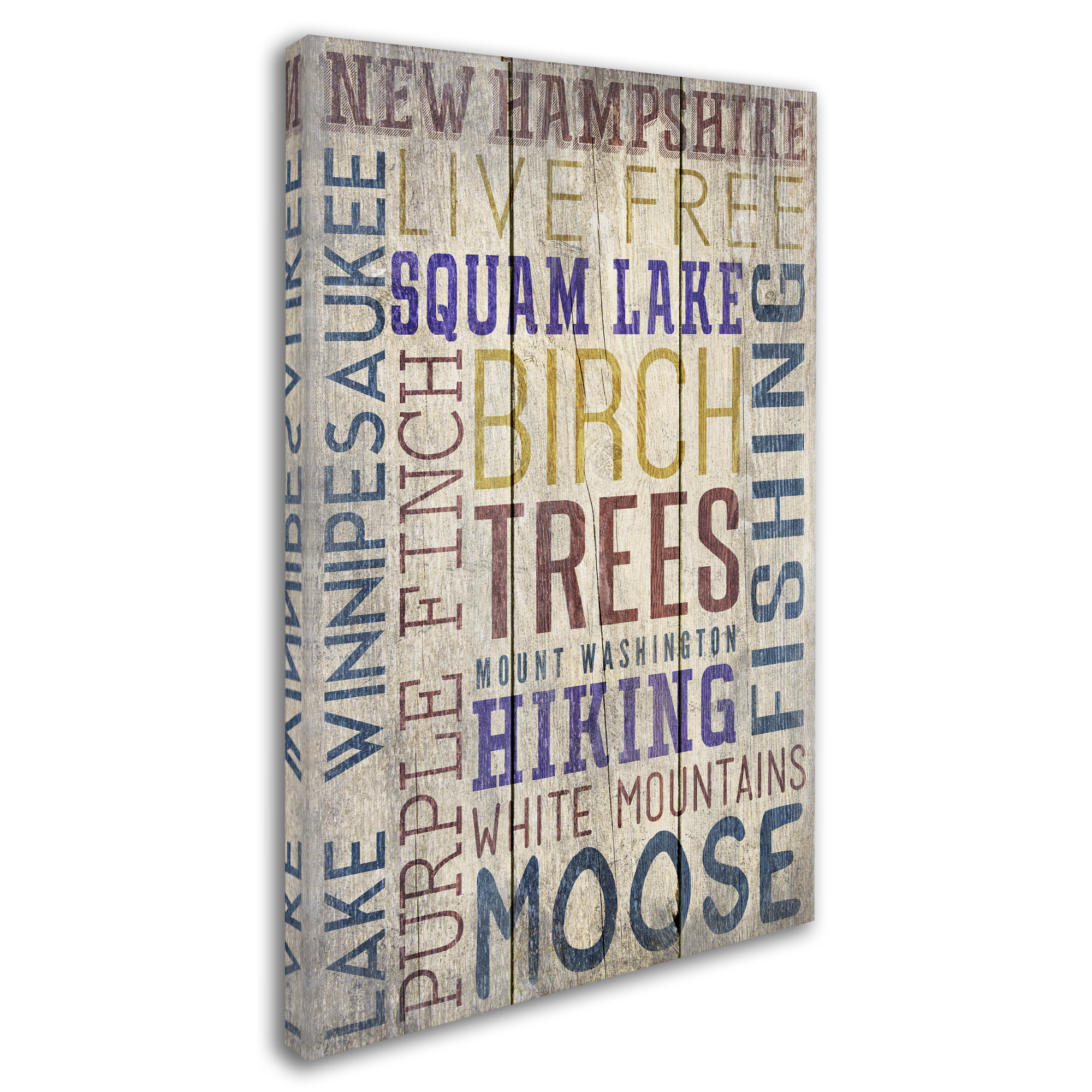 Trademark Fine Art 'Traditional 1' Canvas Art by Lantern Press