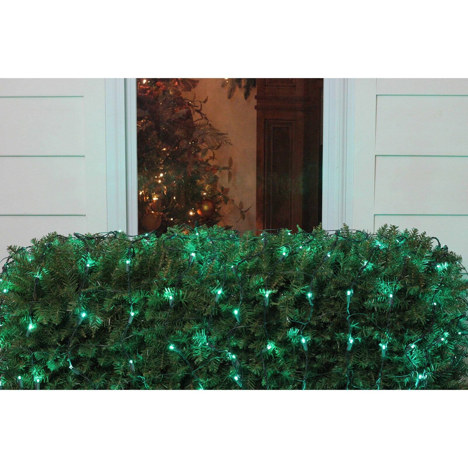 Northlight 150 LED Net Christmas Lights on Green Wire