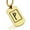 Gold, variant on Stainless Steel Elder Futhark Fehu Rune Dog Tag Pendant Necklace