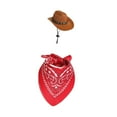 thumbnail image 4 of Traje de ganso, sombrero y bufanda, diseño creativo, decoración de inauguración de la casa, ropa de ganso para Bufanda roja de sombrero marrón, 4 of 9