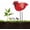 Red, variant on Soil Moisture Meter, Water Meter for Plants Bird Shape Water Sensor, Intelligent Plant Waters Tester with Automatic Alarm Chirping, Hygrometer Gardening Tool Kit for Indoor Outdoor Plant Garden Decor