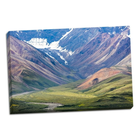 Gango Home Decor Danali National Park I by Kathy Mahan (Ready to Hang); One 36x24in Hand-Stretched Canvas
