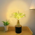thumbnail image 5 of MERILER LED Twig Lights - Simulation Plant Potted Lights with USB Power - Warm White Glowing Tree for Holiday and Everyday Décor, 5 of 7