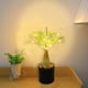 thumbnail image 5 of Luces LED de ramitas - Luz nocturna blanca cálida alimentada por USB • 30 LED • IP44 impermeable • Decoración artificial para plantas de 45-50cm, 5 of 7