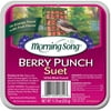 Morning Song 11430 12-11.75 oz Berry Punch Suet Wild Bird Food