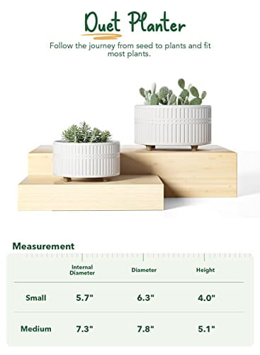 BEMAY 2-Pack 8+6.5 inch White Ceramic Succulent Pots with Drainage Holes for Indoor, Patio, and Garden Decor Plant Pots