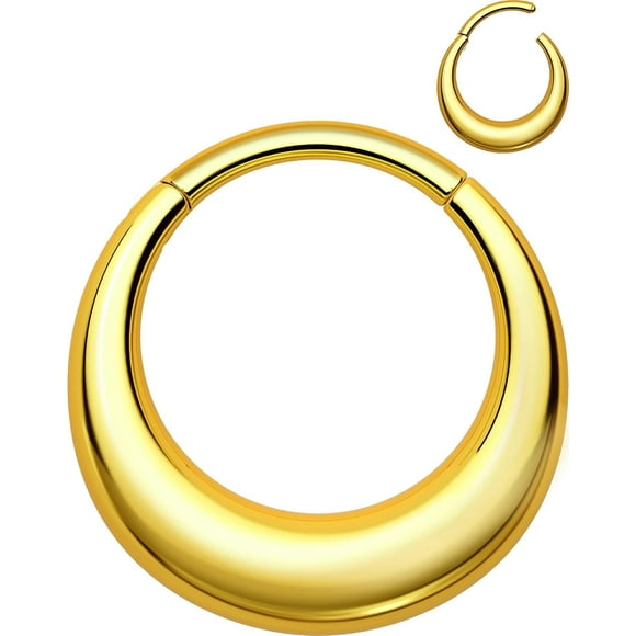 shiyou-Titanium Septum Rings, 16G Septum Jewelry, Clicker Daith Piercing Jewelry Hoops, Hinged Segment Daith Earrings for Women Men-Silver 8/10mm