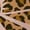 LIGHT PINK, variant on - Leopard Print Bow - Youth Girls Boxy T-Shirt
