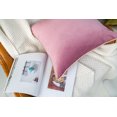 thumbnail image 3 of Gouchee Home Solid Velvet Coussin, 3 of 5