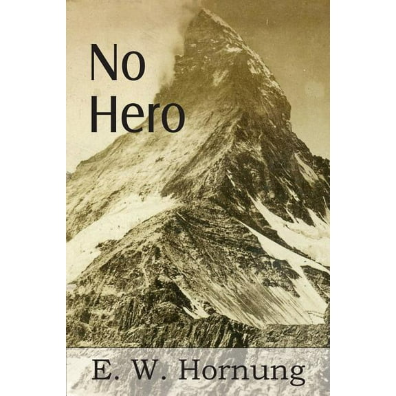 No Hero (Paperback)