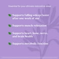 thumbnail image 5 of Natrol Sleep & Restore with GABA and Magnesium Glycinate, Melatonin-Free Supplement, 60 Capsules, 5 of 12