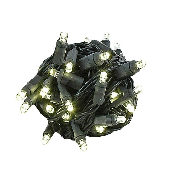 Novelty Lights 50 Light LED Twinkle Christmas LED Mini Light Set, Outdoor Fairy Wedding String Lights, Warm White, Green White, 25 Feet