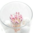 thumbnail image 4 of K-Cliffs Clear Acrylic Canister For Cotton Swabs and Cotton Balls Storage, 4 of 5