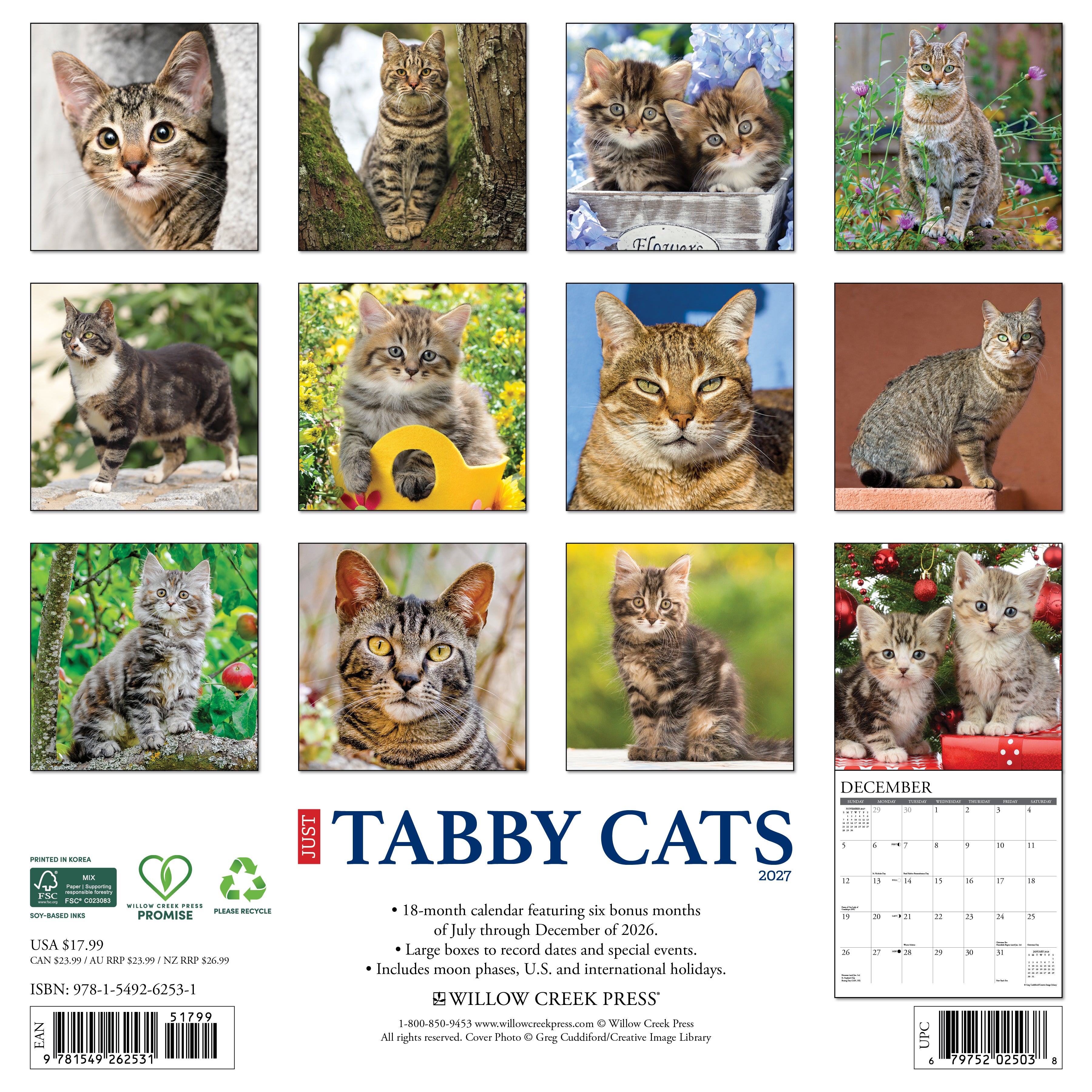 Willow Creek Press, Tabby Cats 2027 Wall Calendar