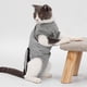 thumbnail image 4 of Traje de recuperación de mascotas para heridas abdominales, enfermedades de la piel, cirugía, abrigo protector para mascotas (S), 4 of 8