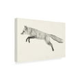 thumbnail image 2 of Trademark Fine Art 'Flying Fox II' Canvas Art by Victoria Borges, 2 of 3
