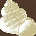 thumbnail image 2 of Harbick, N 20x20 Black Ornate Wood Framed with Double Matting Museum Art Print Titled - Natural Shell III, 2 of 4