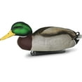thumbnail image 4 of DOA Decoys Refuge Series Colverts 6 Pack 450025, 4 of 4