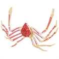 thumbnail image 4 of Modèle de Crabe, Décoration de Modèle de Crabe Simulé, Jouet Modèle de Crabe Simulé, Véritable Excellence, 4 of 7