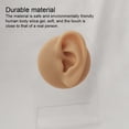 thumbnail image 3 of xinxixnxx Silicone Right Ear Model Holding Mold Soft Professional Studs Display Flexible Realistic Jewelry Practice Training Left Ear/Rack, 3 of 6