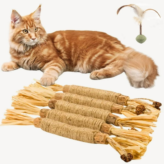 Puriq Natural Silvervine Dental Sticks for Cats, Purriq Cat Dental Sticks for Teeth Cleaning & Dental Care, Cat nip Treat Toys for Indoor Cats& Kittens (5 Pack)
