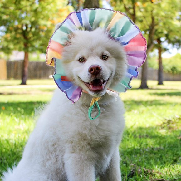 FUTUREORYY Sombrero Exterior Para Mascotas Pequeño De Tela Con Arcoíris Y Ajustables