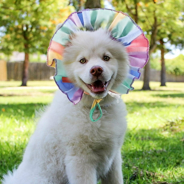 FUTUREORYY Sombrero Exterior Para Mascotas Pequeño De Tela Con Arcoíris Y Ajustables