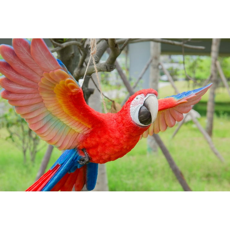 Scarletts parrot store supplies