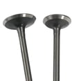thumbnail image 2 of Valvula Admision Escape Set Yamaha Ybr 125 C Express (15-19) (Wstd) multicolor, 2 of 3