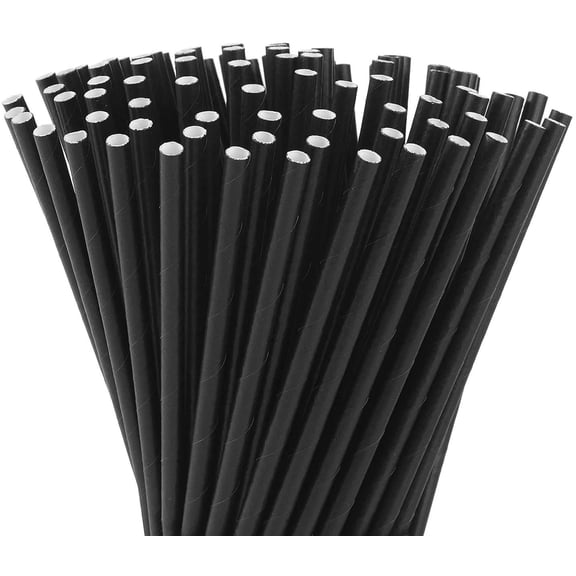 Family Home 10 inch Black Paper Straws, Biodegradable Disposable Drinking Straws (Unwrapped) 500 Count
