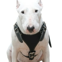 Black Genuine Leather Dog Harness, Medium. 25'-30' Chest, 1' Wide Adjustable Straps