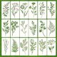 thumbnail image 4 of 18pcs Grass Template Roll Grass Pattern Painting Template Hollow Out Painting Template Hand Drawn Graffiti Spray Pattern Painting Assistance, 4 of 4