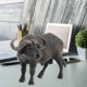 thumbnail image 3 of Modelo animal de búfalo para decoración, modelo animal, juguete para niños, simulación de animales, decoración, mini búfalo, diseño revolucionario, 3 of 9