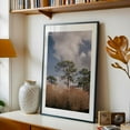 thumbnail image 5 of Longleaf Pine - Ocala Florida Photography Nature Landscape Forest Scenic Woods Woodland Black Framed Wall Art Print 5 x 7 inches, 5 of 8