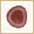thumbnail image 2 of Marmont Hill "Tree Ring I" Framed Painting Print, 2 of 5