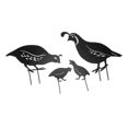 thumbnail image 4 of 4pcs Outdoor Quail Family Yard Decor Innovative Iron Art Hand Crafted Metal Quail Stake Statue for Outdoor Garden Yard, 4 of 5