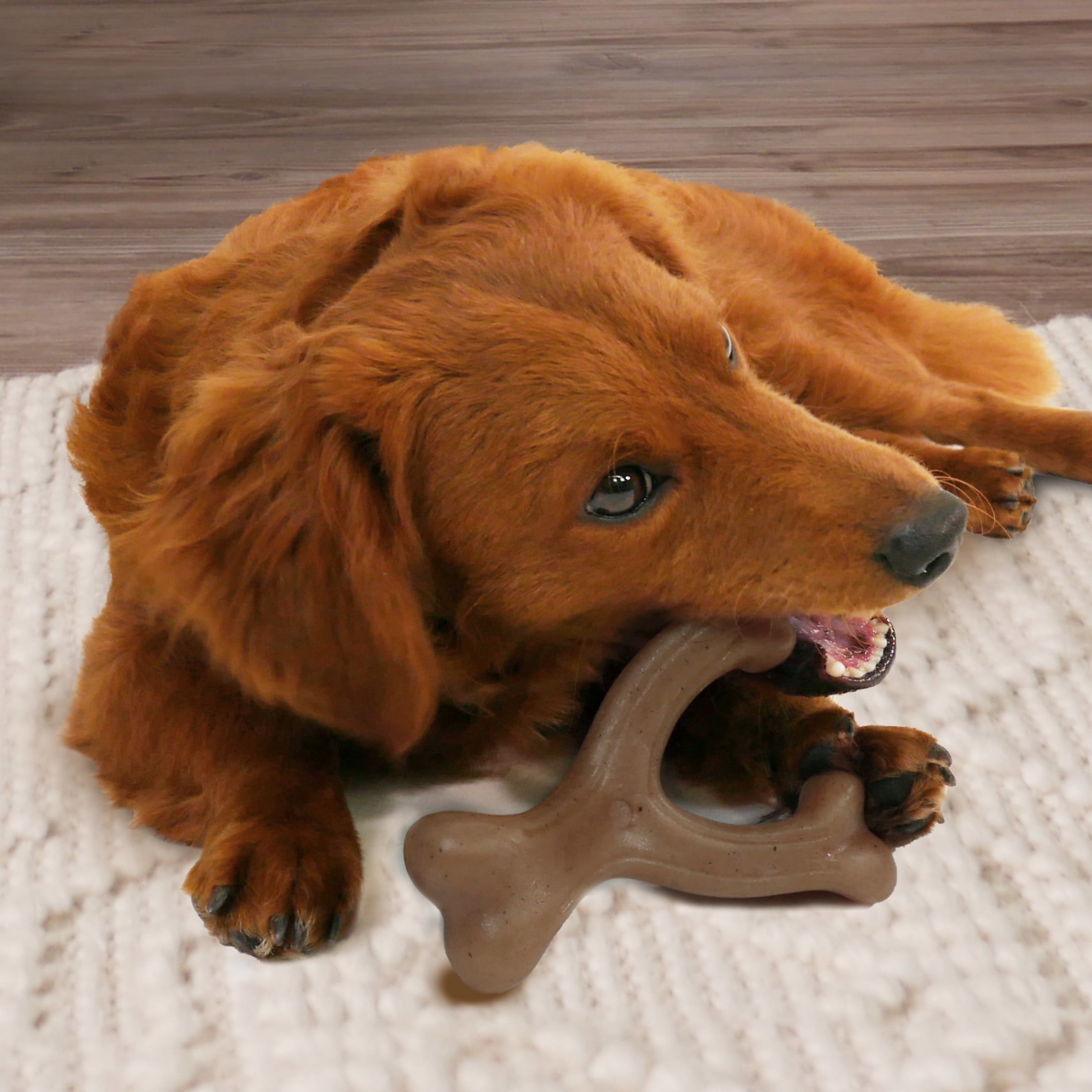 (2 pack) Nylabone Gourmet Style Strong Wishbone Dog Chew Toy Peanut Butter Small/Regular - up to 25 Ibs.