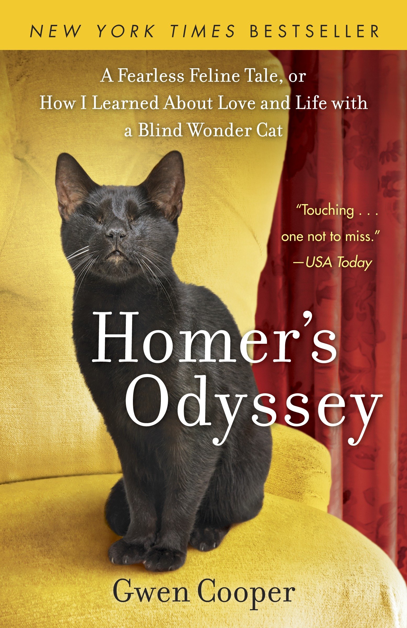 Homer's Odyssey A Fearless Feline Tale, or How I Learned about Love