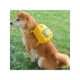 thumbnail image 4 of 1pc Orange Pet Carrier Bag And Leash Set, Suitable For Cats And Dogs, Small And Medium Sized Pets, 4 of 4