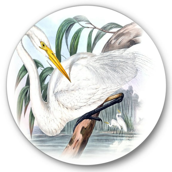 Designart 'Ancient Australian Birds IV' Traditional Circle Metal Wall Art 36x36 - Disc of 36