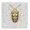 Vintage Beetle Floral, variant on Stupell Industries Transitional Beetle with Botanical Pattern Canvas Art, 17 x 17, by Danhui Nai
