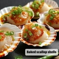thumbnail image 3 of Sinkoo 10PCS Scallop Shells 4"-4.5" Natural Sea Shells Yellow & Pink Hawaiian Scallop Shells for Baking DIY Craft Home Vase Fillers & Beach Wedding Party Decor, 3 of 7