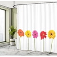 thumbnail image 4 of Ambesonne Floral Design Shower Curtain, Gerbera Flowers Print, 69"Wx70"L, Dark Pink Burnt Orange, 4 of 4