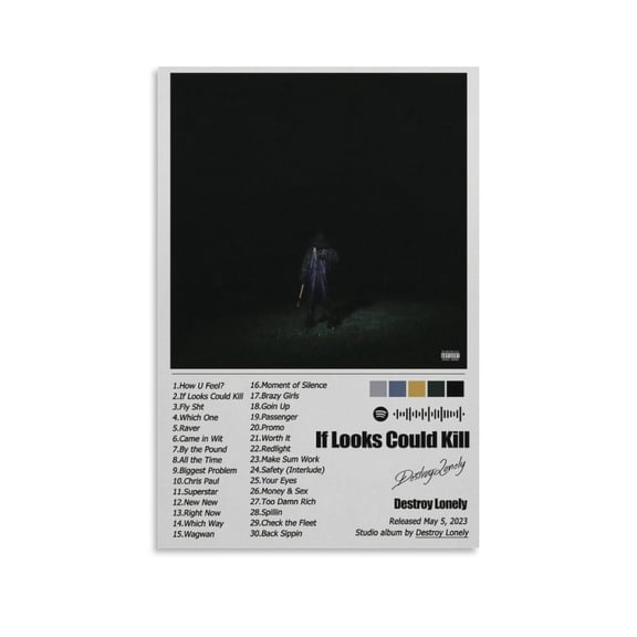 Destroy Lonely Poster If Looks Could Kill Album Cover Limited Poster Print Photo Art Painting Canvas Poster Home Decorative Bedroom Modern Decor Posters Gifts 08x12inch(20x30cm)