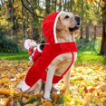 thumbnail image 5 of Chef Santa Claus Dog Costume, Cozy Dog Christmas Outfit, Santa Rider Pet Christmas Costume, Birthday Christmas Gift for Dog Lover Christmas Party, L, 5 of 6