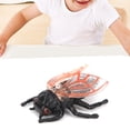 thumbnail image 4 of Children Cicada Model, Cicada Model Lifelike Refined Highly Simulation Appearance  For Halloween Decorations For Stage Props For Haunted Houses Cicada Model, 4 of 8