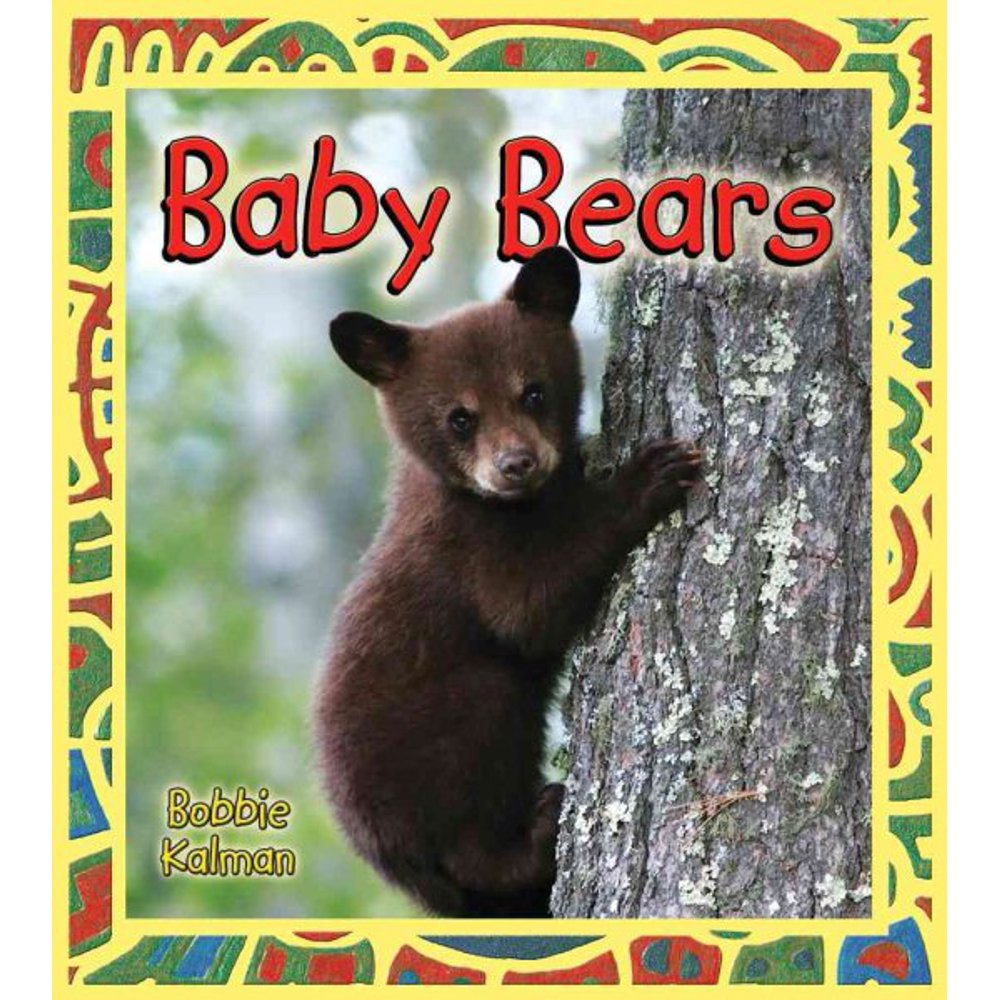 Baby Bears